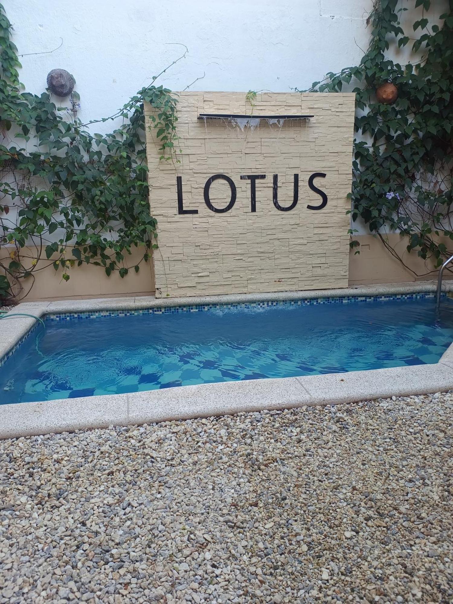 Lotus Central Hotel Σάντα Μάρτα Εξωτερικό φωτογραφία